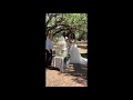 Doves From Heaven, Florida wedding dove release