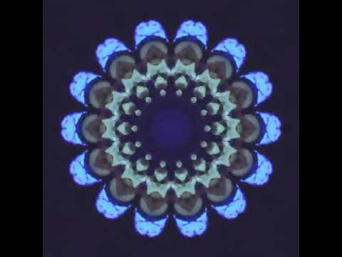 Yoki B2B Ktron Live at Jack's House 5 Year Anniversary in Dallas, TX. 2024