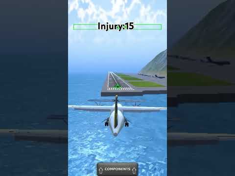 Western Airlines 2605 😭 #aviation #crash #shorts