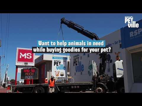 RSPCA PetVille Hillcrest is now open!