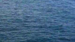 Mediterranean Sea(dedicate to Keiko Matsui)