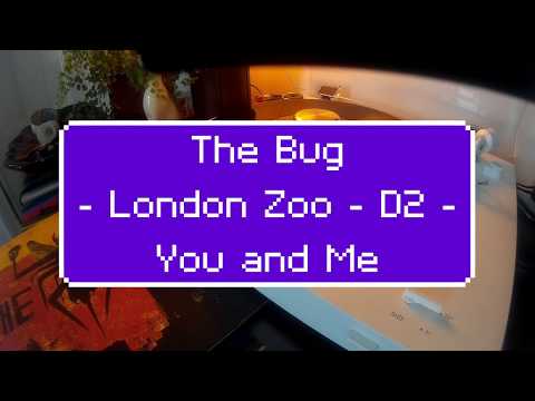 The Bug ‎– London Zoo - D2 - You and Me feat. Rodger Robinson