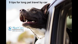 9 Tips to Travel Happily with pets in car for long distance