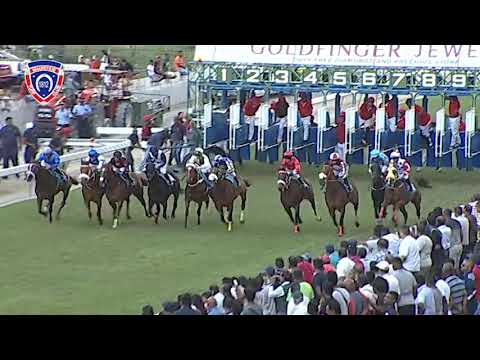 RM10 R4 | Wall Tag | D.David