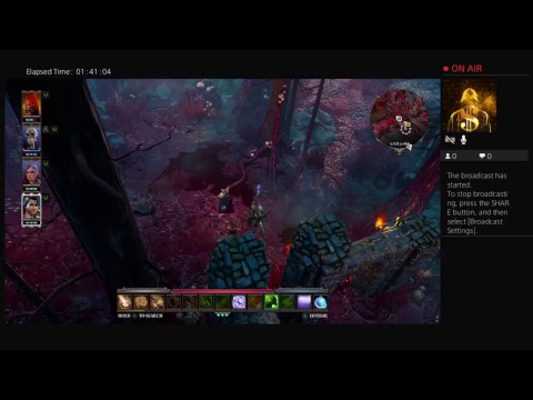 Divinity: Original Sin 2 pt 46