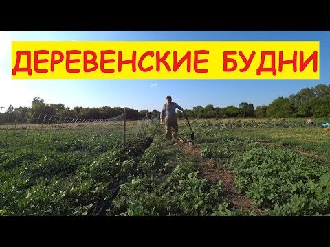 Деревенские будни / Собрали скошенное, начали косить новое / Опять косилка барахлит...