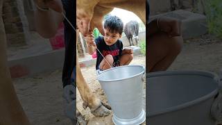 Download lagu Jago Jago Krishna Kanhaiya Jago ggsgssgs #punjabisong #punjabimusic #song mp3