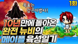 10년만에 돌아온 뉴비의 메이플 육성 일기