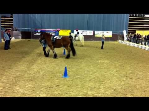 Vorstellung Reittherapie durch die Reitschule Sandkrug - Mein Tier 2013 in Oldenburg