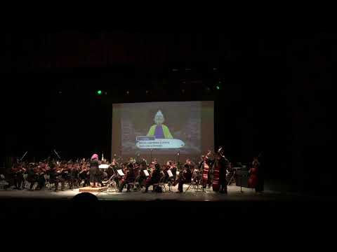 The 8-Bit Symphony - Pokémon Medley