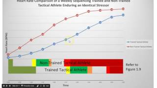 RPR Breathing Reset - Reflexive Performance Reset Effects Part 4