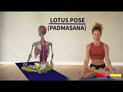 The one thing NOT to do in the Lotus pose