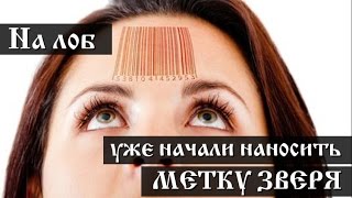 На лоб уже  начали наносить метку зверя - YouTube