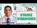 Stroke Syndromes: MCA, ACA, ICA, PCA, Vertebrobasilar Artery Strokes | Pathophysiology