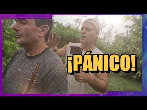 La FARSA que CONMOVIÓ a TODA ESPAÑA... | LA HISTORIA COMPLETA DE FRANK CUESTA