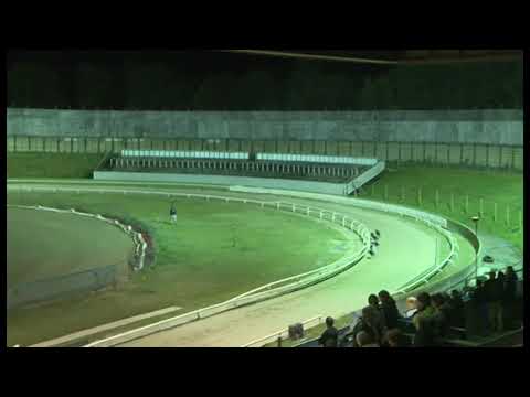Fitenwell - Ladbrokes Kent Derby (Heat 6)
