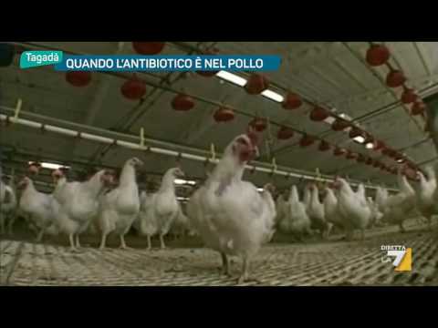 Giunti in gel equine comprare spunti Trattamento gamba dolorante bassa della schiena e sinistra