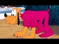 Pluto S Sweater A Classic Mickey Short Have A Laugh Disneykids
