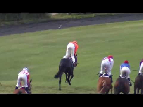 7. dostih - CENA WWW.DOSTIHOVESAZKY.CZ - dostihy Velká Chuchle 12. 7. 2019