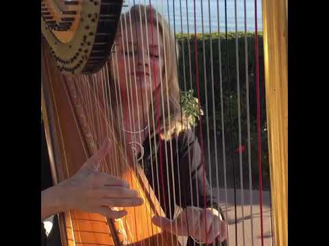 Promotional video thumbnail 4 for Peggy Skomal Harpist & Ensembles