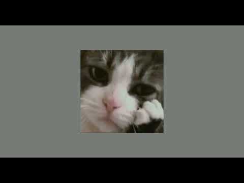 pauwi nako - o.c. dawgs, yuri dope & flow g (sped up)