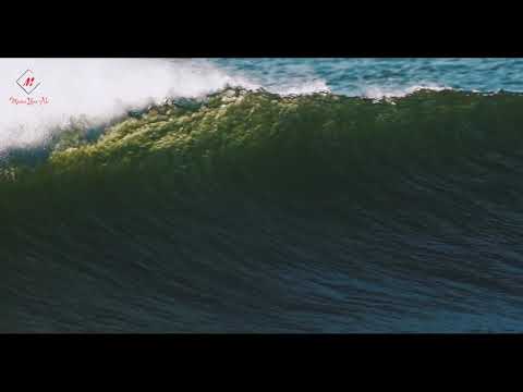 Dacie, Elexter Jr & Rushee - So Hurtful (Viting Bulongu)- Pacific Reggae 2020 -  K.O.R Community 2.0