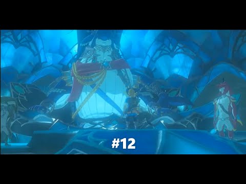 Breath of the Wild Walkthrough | Episode 12 | Meeting King Dorephan