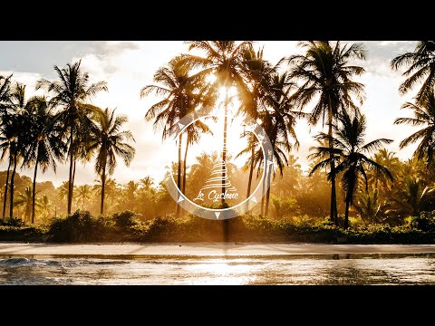 Krak In Dub - Pedacito De Coco (Ft. La Perla)