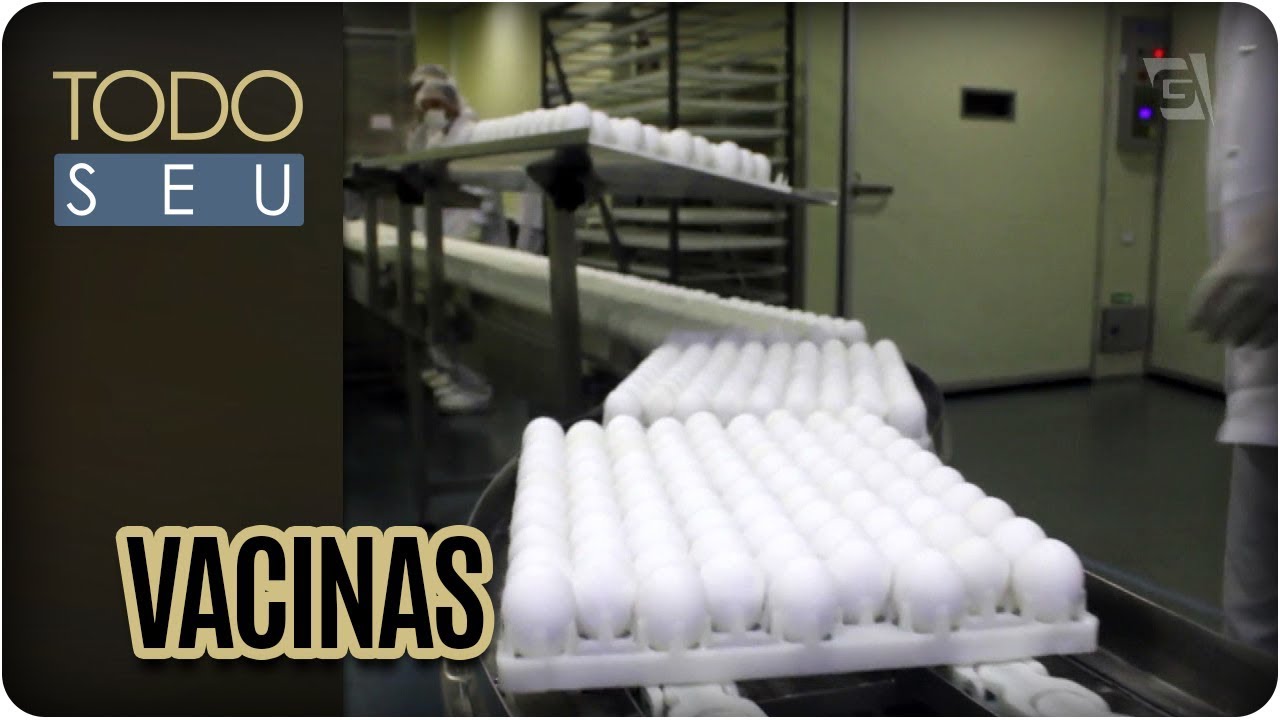 Como as vacinas são produzidas? - Todo Seu (06/04/18)
