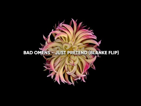 Bad Omens - Just Pretend (Blanke Flip)
