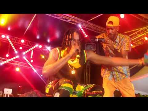 DANTHOLOGY - BACCHA 2022