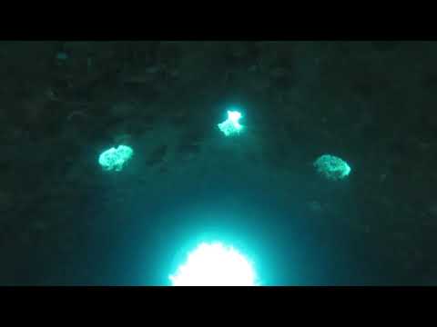 Sv Roko Bibinje 2018.