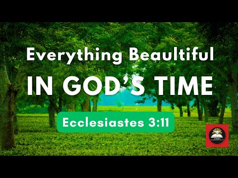 God Makes Everything Beautiful In His Time Ecclesiastes 3:11 Explained Christian Encouragement