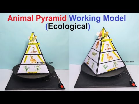 global warming and greenhouse effects working model save earth air pollution diy howtofunda