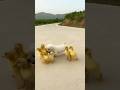 നീ കൊള്ളാല്ലോടി പെണ്ണേ ️ Shorts Viral