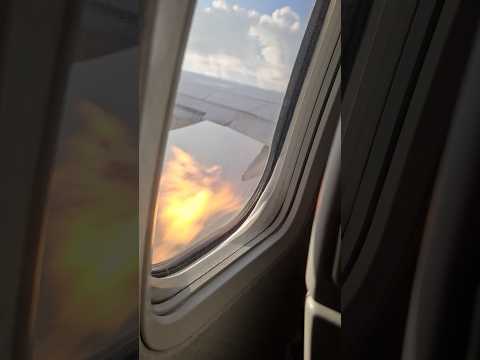 Bird strike causes plane engine to catch fire