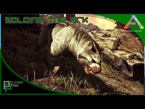 Soloing the Ark S4E60 - THYLACOLEO TAMING AND BREEDING - CAVE PREP!