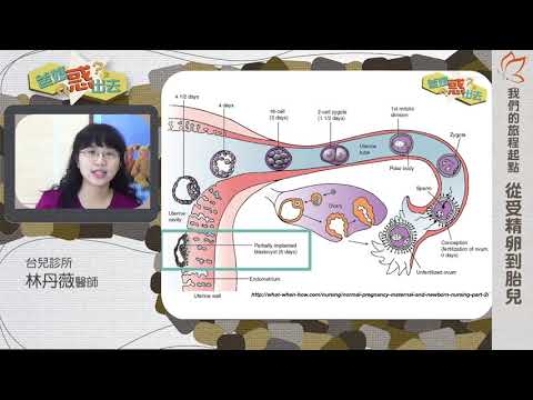 懷孕 牀 移動