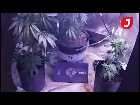 Desbaratan un punto de venta de drogas en Puerto Madryn