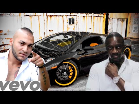 Akon - smack that ft.Dani mocanu [REMIX]