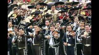 Musik-Video-Miniaturansicht zu Cielito lindo Songtext von Mexican Folk