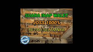 Download lagu SUARA INAP PEMIKAT BURUNG WALET || Josss 1000 % Berhasil mp3