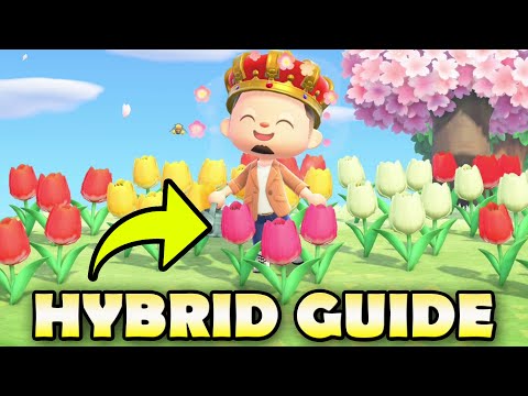 🌷 How To Get RARE HYBRID FLOWERS In Animal Crossing New Horizons!  BEST Hybrid Guide!