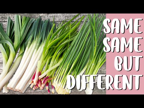 YouTube video about: What are green onions?