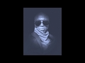 Seal - Loaded