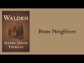 Henry David Thoreau | Walden - ch.12 - Brute Neighbours