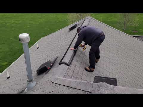 How to Prevent Bats from Infesting Your Home