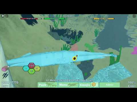 Tusoteuthis changing color