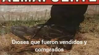 Almafuerte - 1999 (Letra)