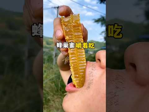 千万不要因为一时嘴馋，抓起一大块蜂巢就直接塞进嘴里咔咔狂炫